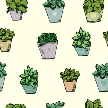 Seamless pattern with hand drawn succulents