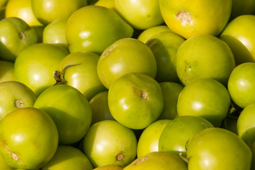 Background of groups of immature tomato market. Agriculture