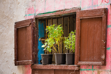 Fototapeta na wymiar Old window in Essaouira