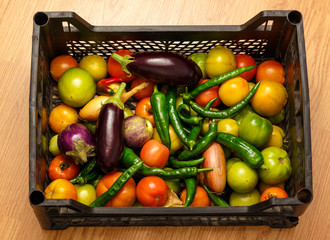 Black plastic box with fresh vegetables
