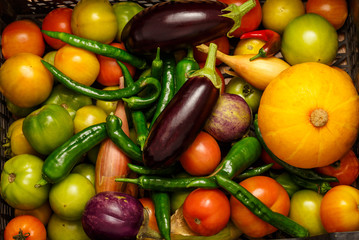 Black plastic box with fresh vegetables