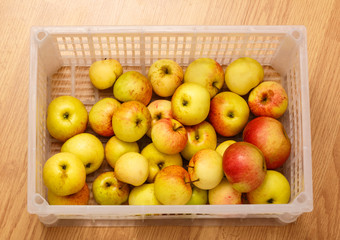 Fresh apples in plastic container