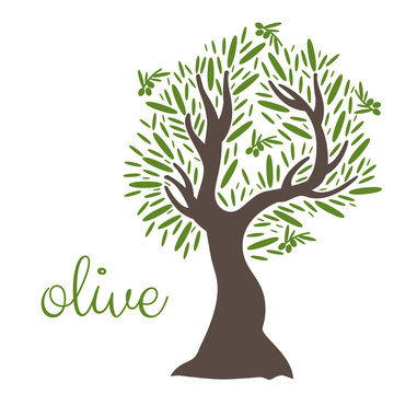 Illustration of flat olive tree. Vector