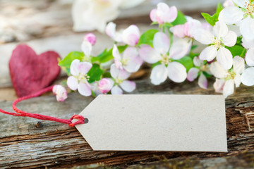 Apfelblüten mit Pappschild und Herz