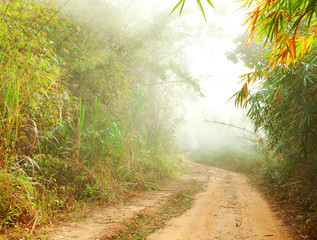 Grundstraße im Dschungel in der Nähe von Umphang. Provinz Tak im Nordwesten Thailands. © Antonel