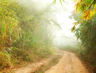 Grundstraße im Dschungel in der Nähe von Umphang. Provinz Tak im Nordwesten Thailands. © Antonel