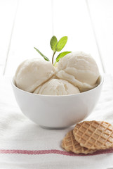 Vanilla ice cream.