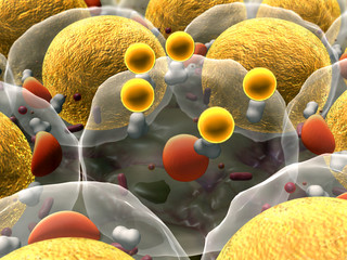 field of fat cells, High quality 3d render of fat cells, cholesterol in a cells, field of cells, Cell division, Microscopic image of cells, 3d rendering, Cells, Medical video background