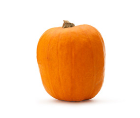 Pumpkin on the white background
