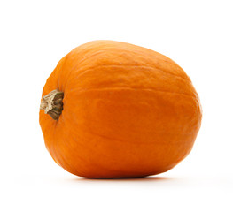 Pumpkin on the white background