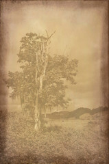 Background texture with faded landscape photograph/Vintage photograph with background texture