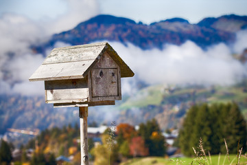 Boîte au lettres - chalet