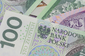 polish currency close up in studio