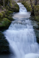 Bachlauf in Freudenberg im Siegerland