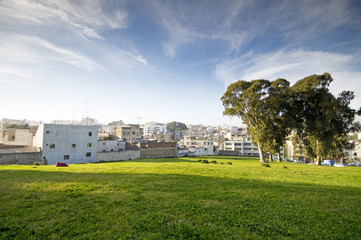 Fototapeta na wymiar Park in Tanger