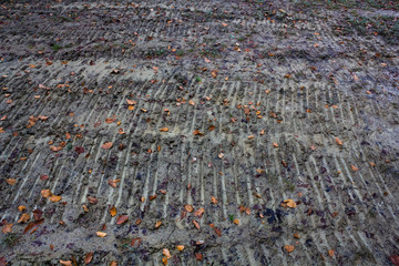 Obraz premium Traces of a tractor in the mud on ground