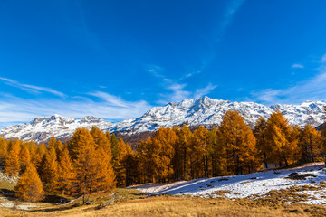 Fototapeta na wymiar Stunning view Engadin Alps in golden autumn