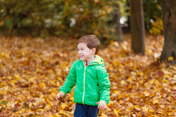 Autumn portrait of cute boy