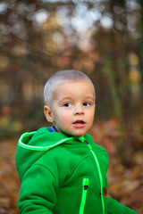 Autumn portrait of cute boy