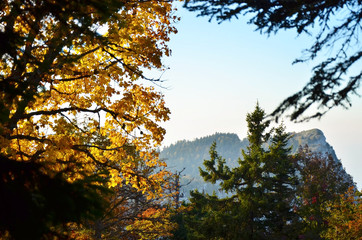 automne sur le Vercors! (Isère)