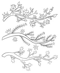 Hand Drawn Branches