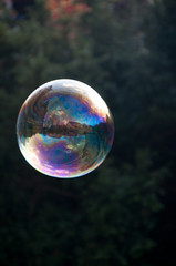 Seifenblase