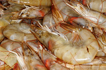 King Prawns, Jumbo Shrimp