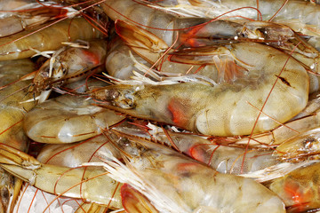 King Prawns, Jumbo Shrimp