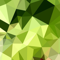 Fototapeta na wymiar Electric Lime Green Abstract Low Polygon Background
