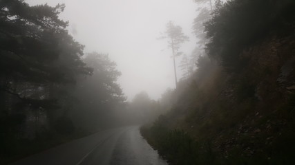 Fototapeta premium Road in fog