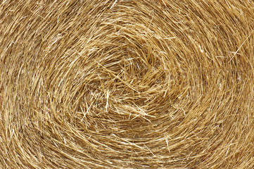 Texture di una balla di fieno