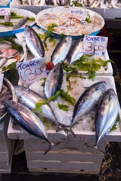Typical outdoor Italian fish market with fresh fish and seafood