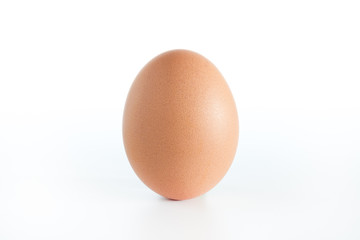 Chicken egg