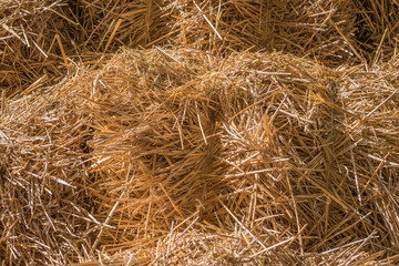 Naklejka premium Yellow straw. Spread out dry straw under the sun light.
