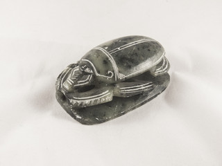stone bug