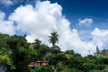 Fototapeta na wymiar Houses on hill against cumulus clouds, Trinidad, Trinidad And Tobago