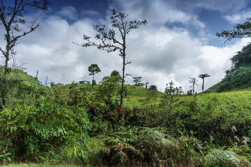 Obraz premium Scenic view of landscape against cloudy sky, Costa Rica