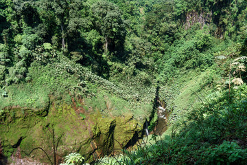 High angle view of rocks covered by moss in a forest, Costa Rica