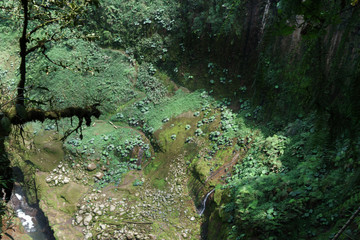 High angle view of rocks covered by algae in a forest, Costa Rica