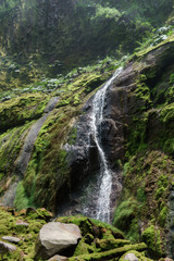 Fototapeta na wymiar Waterfall in a forest, Costa Rica