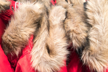 Fur coats for sale at clothes shop