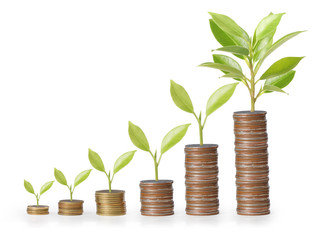  Coins graph stock market