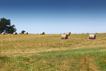 Fototapeta premium Hay bales on field against sky, Prince Edward Island, Canada