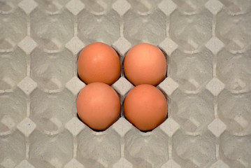 fresh eggs in paper panel