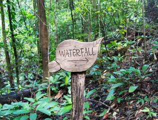 Wooden information sign in shape of leaf in forest, Trinidad, Trinidad and Tobago