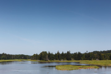 Scenic view of lake in forest against sky, Prince Edward Island, Canada