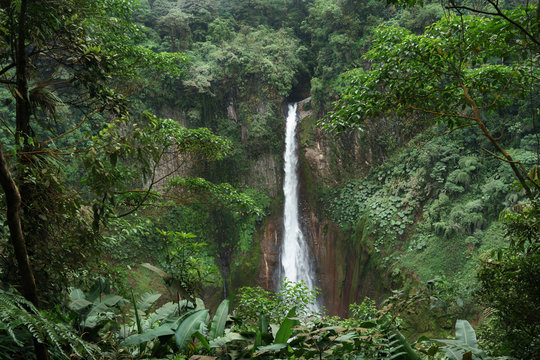 La Fortuna Waterfall in a forest, Alajuela Province, Costa Rica
