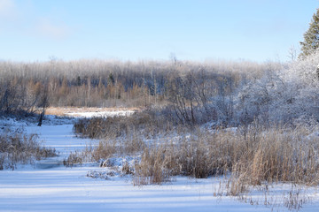 Frozen Stream in December