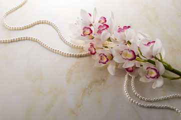 シンビジューム