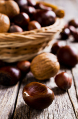 Ripe brown nuts